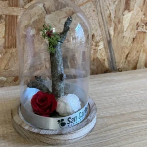 Cúpula con rosas preservadas roja/blanca. - Imagen 3