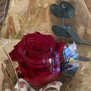 Rosa preservada roja en bombilla cristal L 6 Rosa preservada roja en bombilla cristal L - Imagen 3