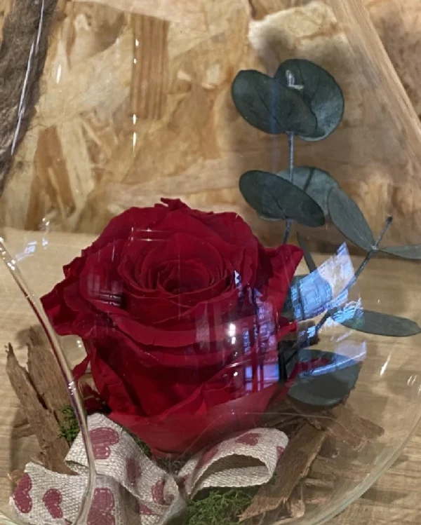 Rosa preservada roja en bombilla cristal L 2 Rosa preservada roja en bombilla cristal L 1