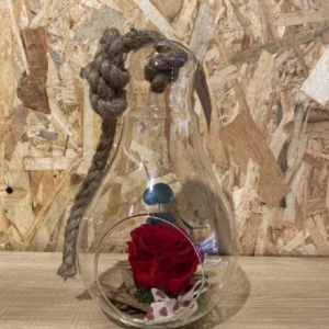 Rosa preservada roja en bombilla cristal L 5 Rosa preservada roja en bombilla cristal L - Imagen 2