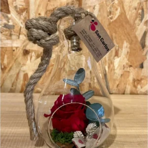 Rosa preservada roja en bombilla cristal M 7 Rosa preservada roja en bombilla cristal M - Imagen 4