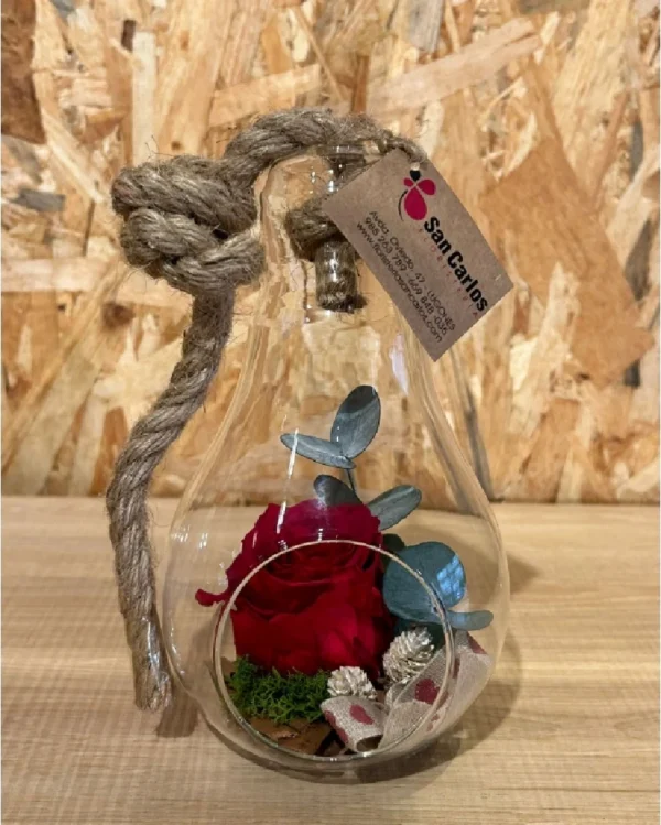 Rosa preservada roja en bombilla cristal M 3 Rosa preservada roja en bombilla cristal M 1