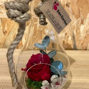 Rosa preservada roja en bombilla cristal M 6 Rosa preservada roja en bombilla cristal M - Imagen 3