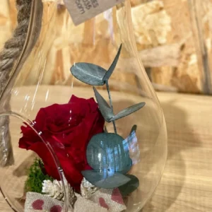 Rosa preservada roja en bombilla cristal M 5 Rosa preservada roja en bombilla cristal M - Imagen 2