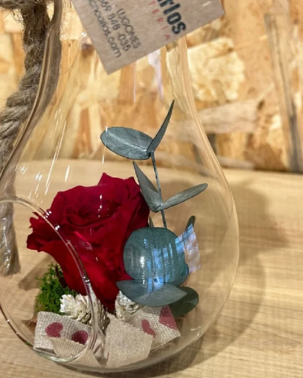 Rosa preservada roja en bombilla cristal M 1 Rosa preservada roja en bombilla cristal M 3