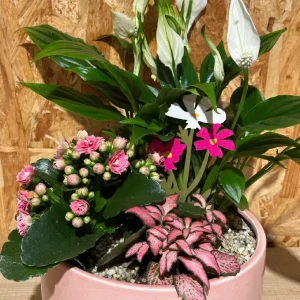 Centro plantas London. - Imagen 3