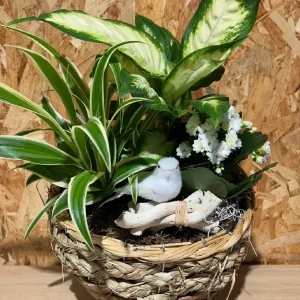 Cesta de plantas white bird. - Imagen 3