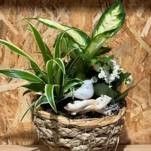 Cesta de plantas white bird. - Imagen 4
