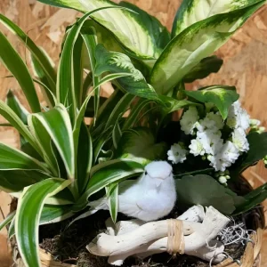 Cesta de plantas white bird. - Imagen 5