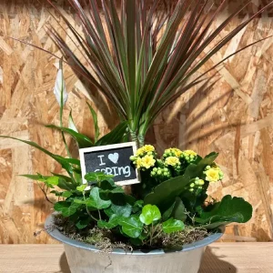 Centro spring/metal plantas. - Imagen 3