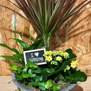 Centro spring/metal plantas. - Imagen 4