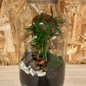 Terrarium o jardín eterno L - Imagen 3