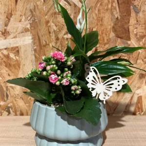 Centro de plantas en base green - Imagen 1