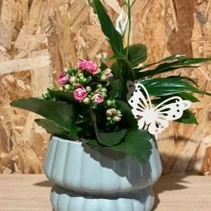 Centro de plantas en base green - Imagen 2