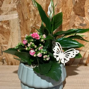 Centro de plantas en base green - Imagen 3