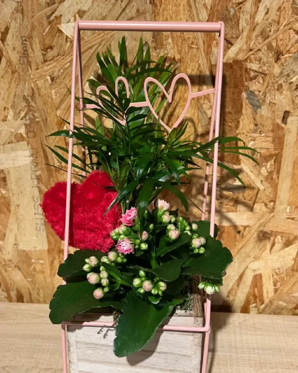 Plantas en estructura Love. 1 8038 1