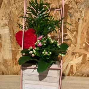 Plantas en estructura Love. 5 Plantas en estructura Love. - Imagen 3