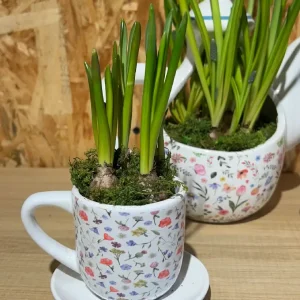 Cafetera y dos tazas de bulbos 7 Cafetera y dos tazas de bulbos - Imagen 3