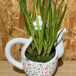 Cafetera y dos tazas de bulbos 8 Cafetera y dos tazas de bulbos - Imagen 4