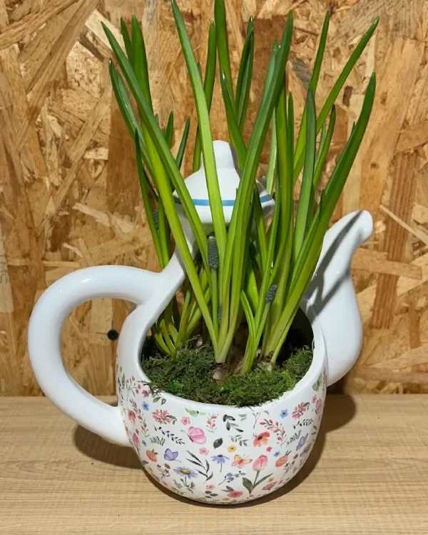 Cafetera y dos tazas de bulbos 3 8043 1