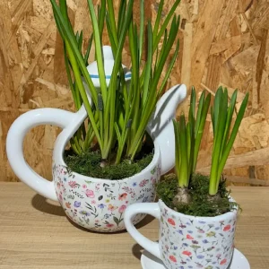 Cafetera y dos tazas de bulbos 9 Cafetera y dos tazas de bulbos - Imagen 5