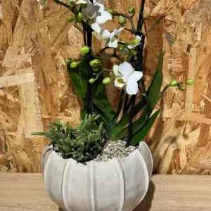 Centro con phalaenopsis blanca en base ceramic beige. - Imagen 3