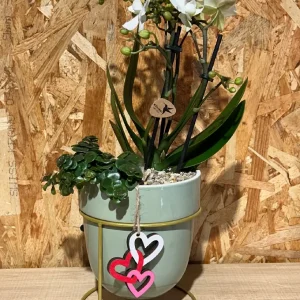 Centro metal green phalaenopsis blanca. - Imagen 5