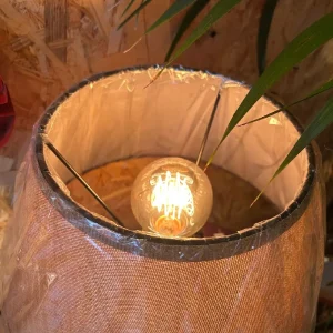 Terrarium Lámpara de mesa. - Imagen 4