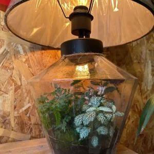 Terrarium Lámpara de mesa. - Imagen 5