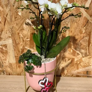 Centro Phalaenopsis blanca Base Ceramic/Metal 4 Centro Phalaenopsis blanca Base Ceramic/Metal - Imagen 1