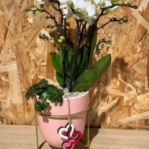 Centro Phalaenopsis blanca Base Ceramic/Metal 5 Centro Phalaenopsis blanca Base Ceramic/Metal - Imagen 2