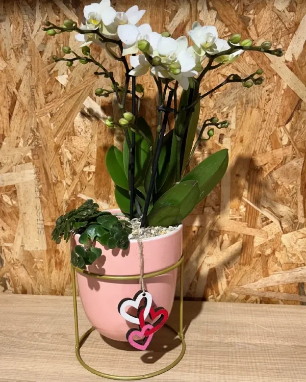 Centro Phalaenopsis blanca Base Ceramic/Metal 1 8065 1