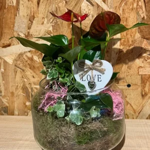 Base de cristal con plantas LOVE. 5 Base de cristal con plantas LOVE. - Imagen 2