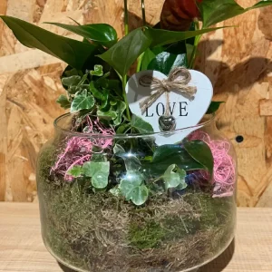 Base de cristal con plantas LOVE. 6 Base de cristal con plantas LOVE. - Imagen 3