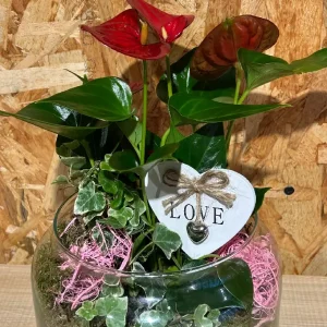 Base de cristal con plantas LOVE. 7 Base de cristal con plantas LOVE. - Imagen 4