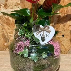 Base de cristal con plantas LOVE. 4 Base de cristal con plantas LOVE. - Imagen 1