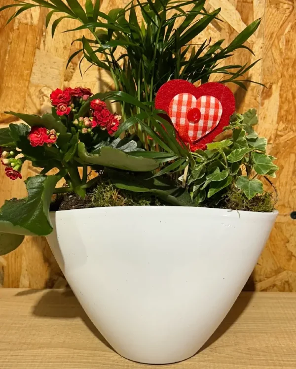 Maceta blanca Love con plantas. 1 8081 1