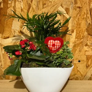 Maceta blanca Love con plantas. 5 Maceta blanca Love con plantas. - Imagen 3