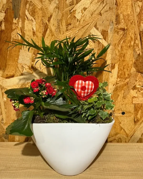 Maceta blanca Love con plantas. 2 8082 1