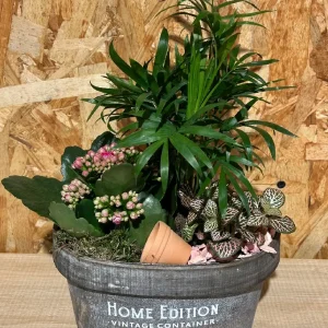 Centro de plantas Home Edition - Imagen 4