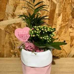 Centro saquito con plantas interior. - Imagen 3