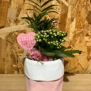 Centro saquito con plantas interior. - Imagen 4