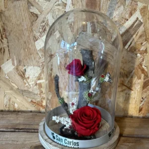 Inicio 40 Cupula con rosas preservadas roja 2
