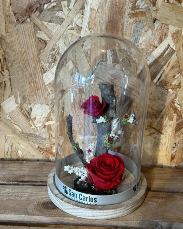 Cupula con rosas preservadas roja 2