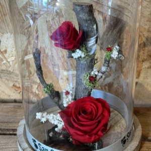 Inicio 39 Cupula con rosas preservadas roja 3