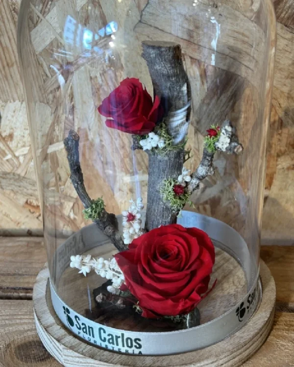 Cupula con rosas preservadas roja 3