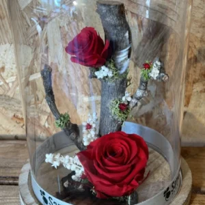 Cúpula con rosas preservadas roja - Imagen 3