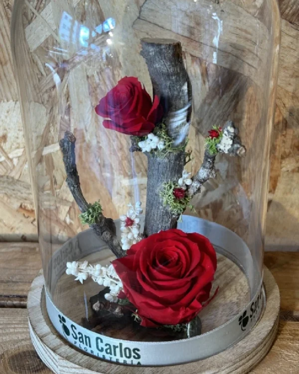 Cupula con rosas preservadas roja