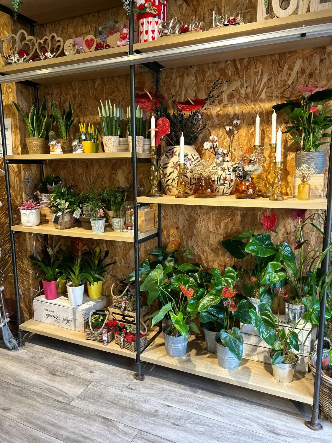 WhatsApp Image 2025 07 15 at 11.21.47