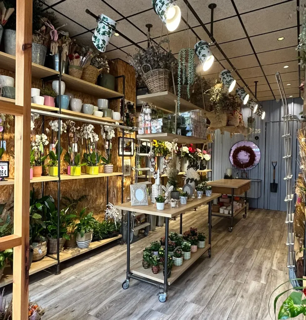 WhatsApp Image 2025 07 15 at 11.24.06